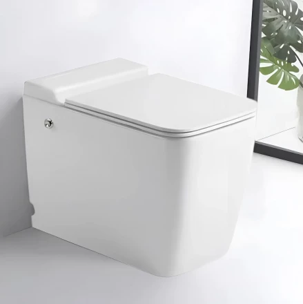 Ceruttispa MAIELLA Pulse CT10196 Унитаз с функцией импульсного смыва