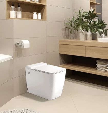 Ceruttispa MAIELLA Pulse CT10196 Унитаз с функцией импульсного смыва
