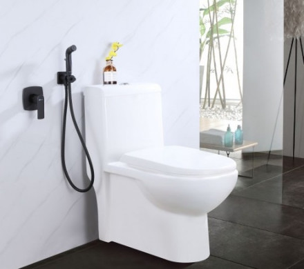 Lemark URSUS LM7219BL смеситель с гигиеническим душем, встраиваемый