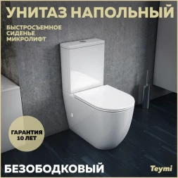 Teymi T40103 Унитаз напольный с бачком