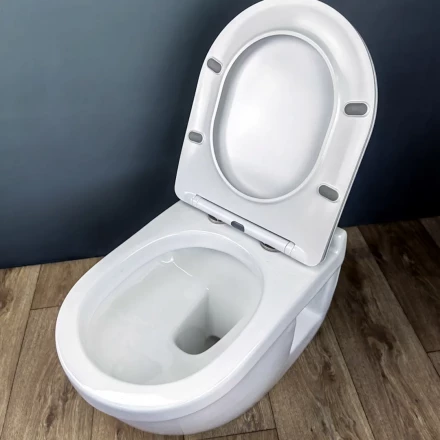 Teymi T40806 Унитаз подвесной