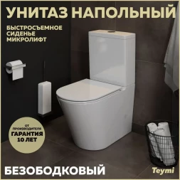 Teymi T40203 Унитаз напольный с бачком