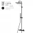 Bossini Cosmo L10103.073 Душевая стойка