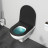 Am.pm Gem C901700SCmb Унитаз подвесной FlashClean с сиденьем микролифт