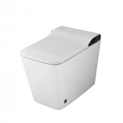 Grossman Smart GR-PR-5701 Унитаз-биде электронный приставной