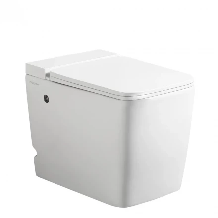 ABBER Rechteck AC1212P унитаз