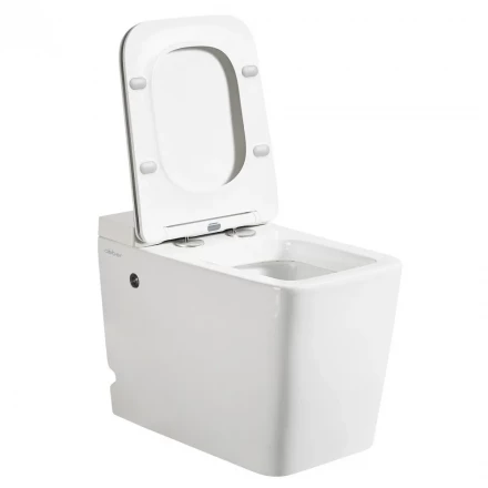 ABBER Rechteck AC1212P унитаз