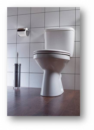 Santek Анимо 1WH302132 унитаз-компакт