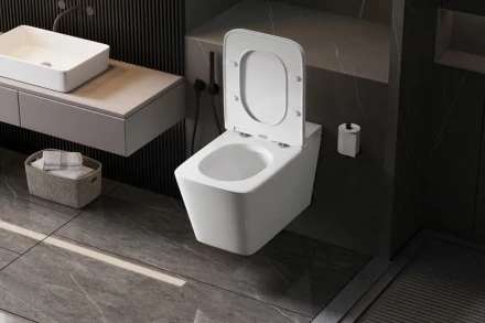 ABBER Rechteck AC1202P унитаз