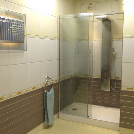 Good Door Puerta WTW-110-C-CH Душевая дверь