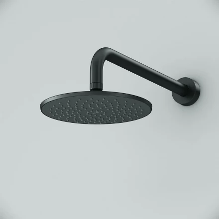 AM.PM Gem F0590022 Верхний душ черный
