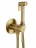 Wonzon &amp; Woghand Stick WW-88829902-BG Смеситель с гигиеническим душем встраиваемый темный графит