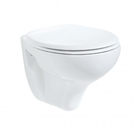 Creavit Perla TP320-00CB00E-0000 унитаз подвесной с биде (чаша)